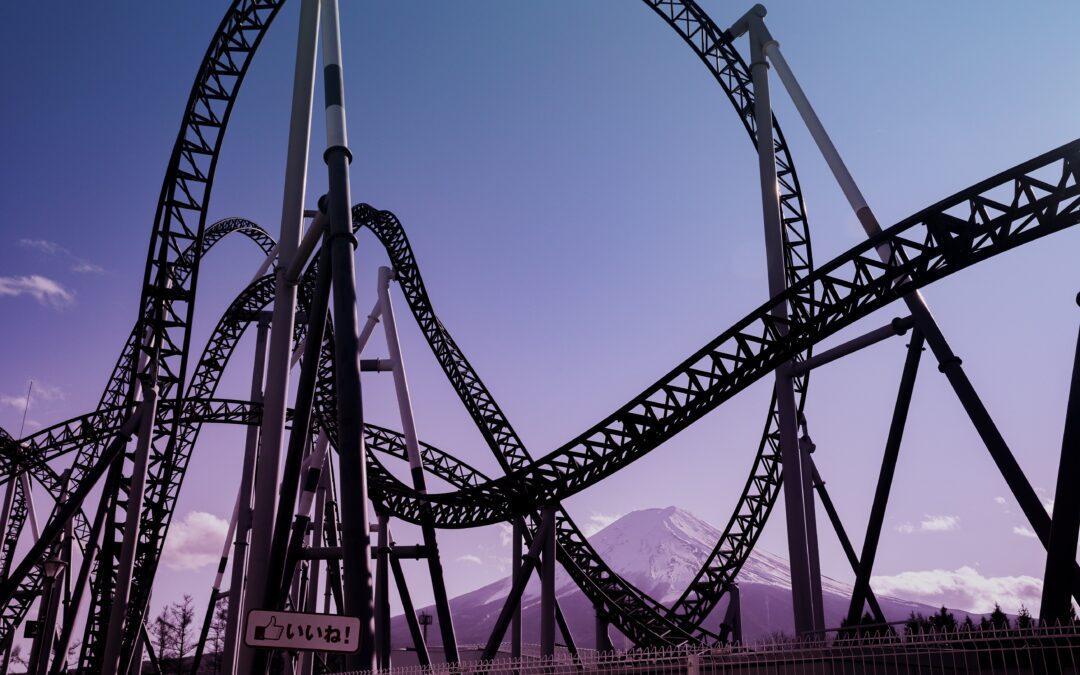 In Today’s Roller Coaster Economy, Who is the Most Likely Buyer for My Business?
