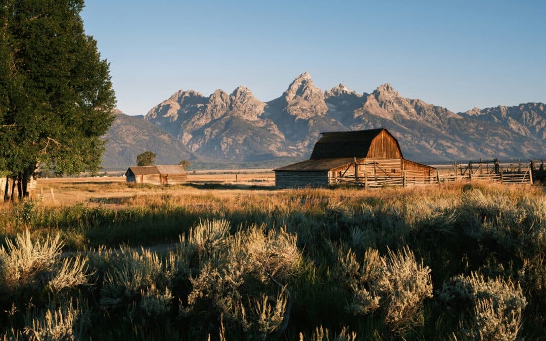 How to Buy a Business in Wyoming: Fast Track to Finding a Great Acquisition